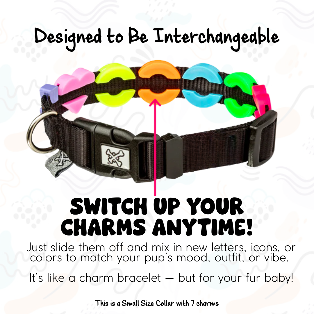 Pawsonalized Charm Collar