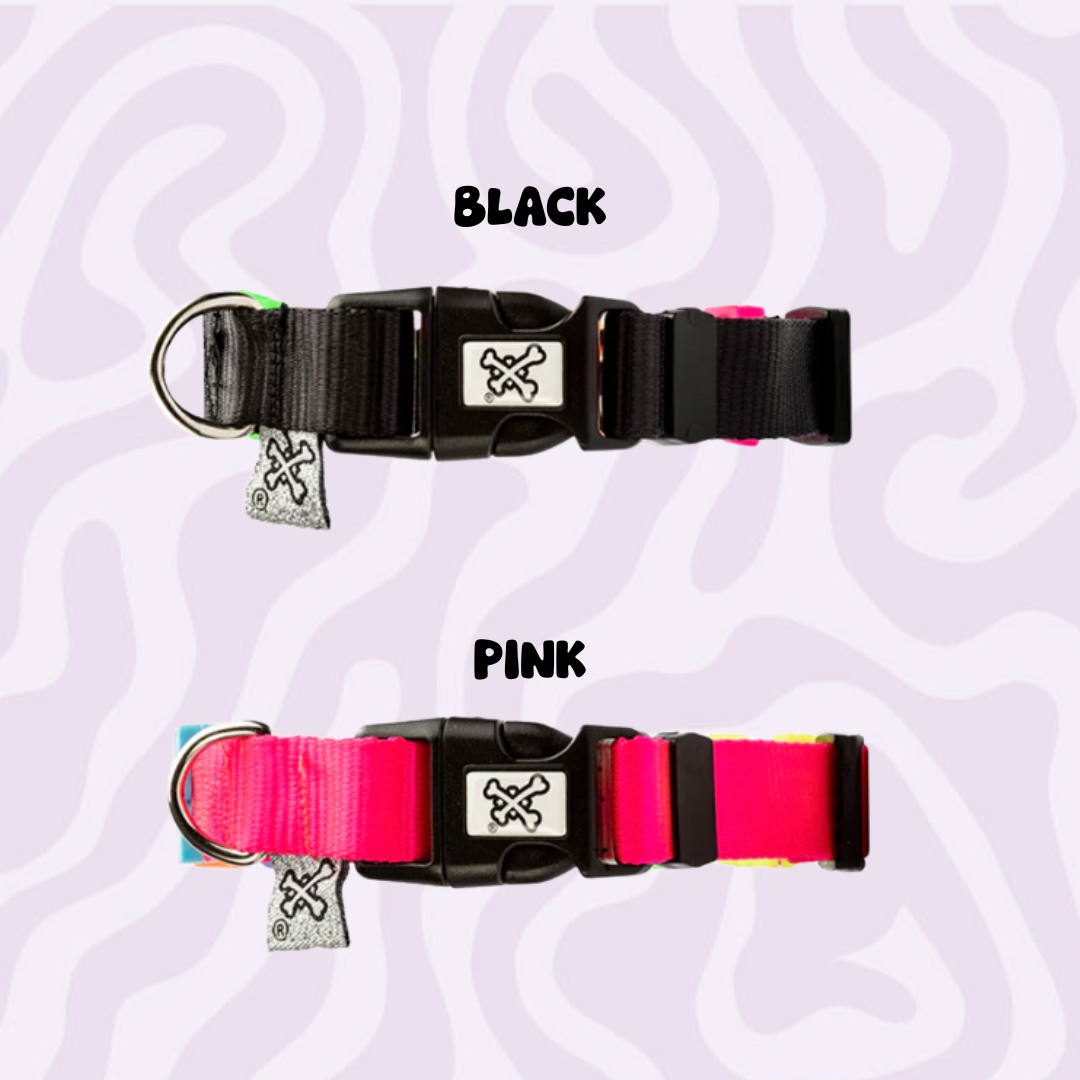 Pawsonalized Charm Collar
