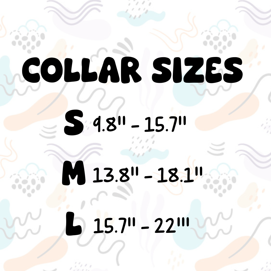 Pawsonalized Charm Collar