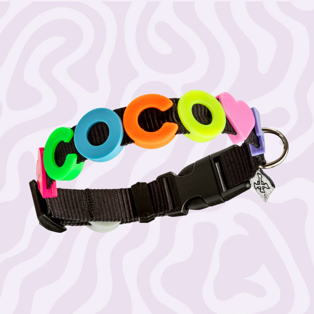 Pawsonalized Charm Collar