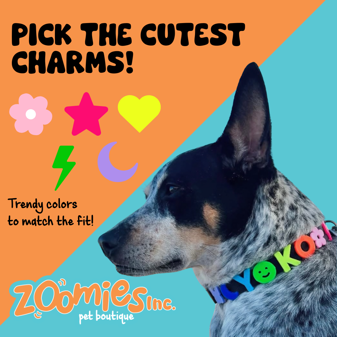 Pawsonalized Charm Collar