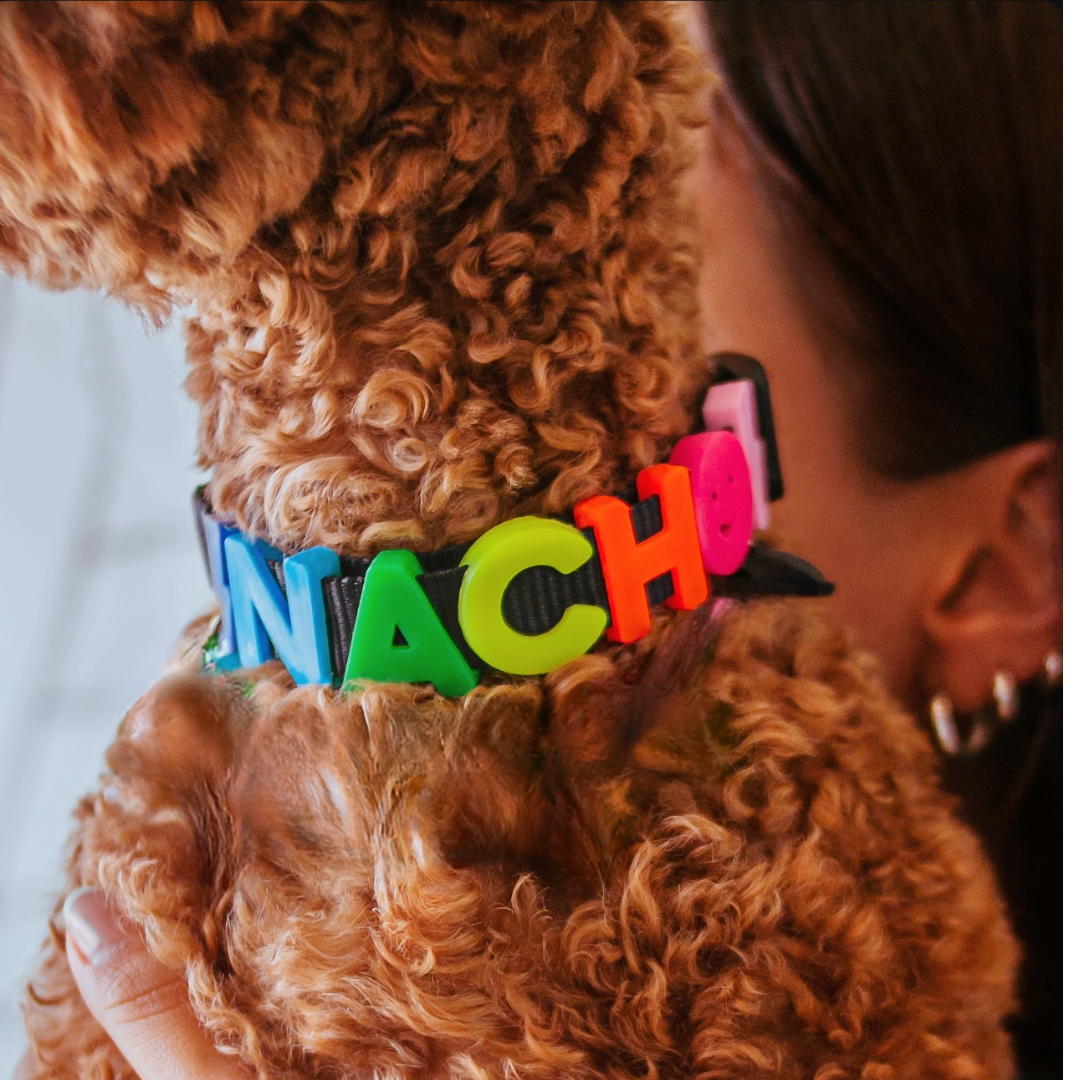 Pawsonalized Charm Collar
